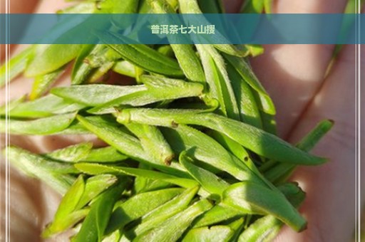 普洱茶七大山搜