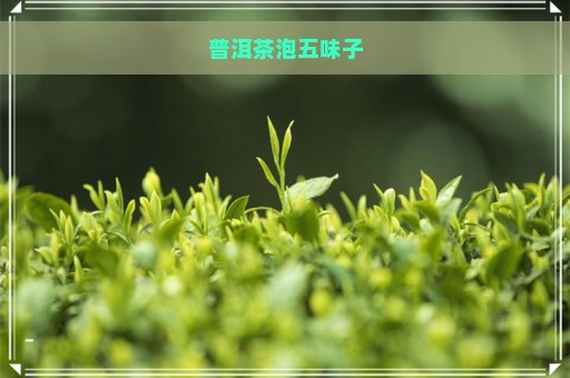 普洱茶泡五味子