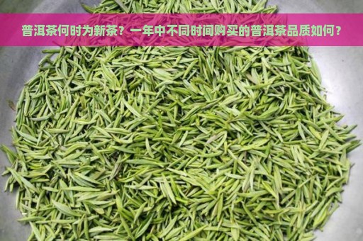 普洱茶何时为新茶？一年中不同时间购买的普洱茶品质如何？