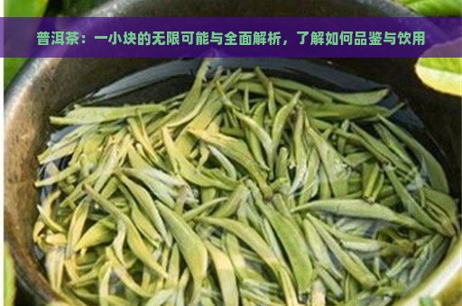 普洱茶：一小块的无限可能与全面解析，了解如何品鉴与饮用