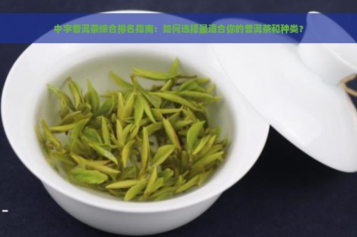 中字普洱茶综合排名指南：如何选择最适合你的普洱茶和种类？