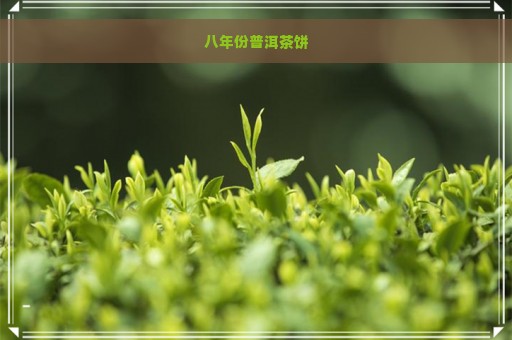 八年份普洱茶饼