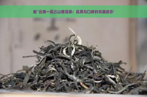 新 '云南一品三山普洱茶：品质与口感的完美结合'