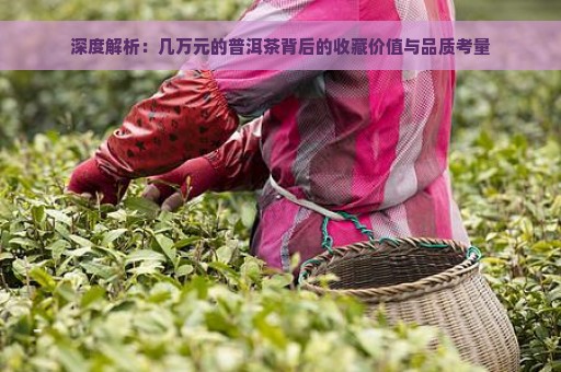 深度解析：几万元的普洱茶背后的收藏价值与品质考量