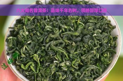 六大知名普洱茶：品味千年古树，领略醇厚口感