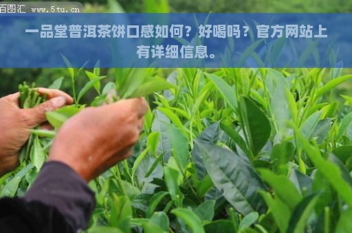 一品堂普洱茶饼口感如何？好喝吗？官方网站上有详细信息。