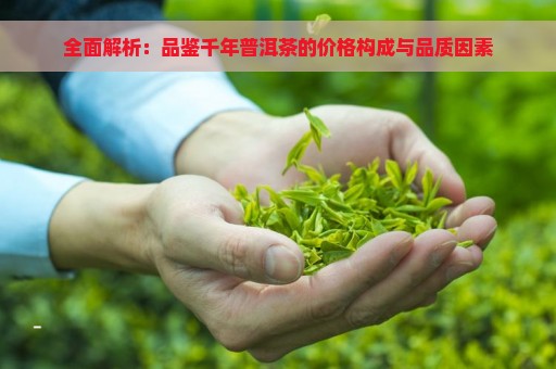 全面解析：品鉴千年普洱茶的价格构成与品质因素