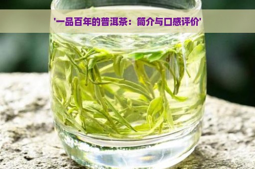 '一品百年的普洱茶：简介与口感评价'