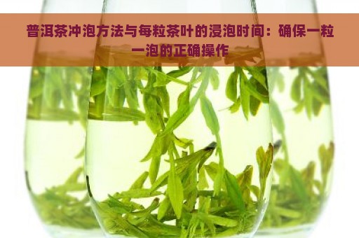 普洱茶冲泡方法与每粒茶叶的浸泡时间：确保一粒一泡的正确操作