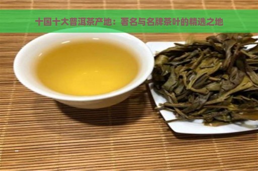 十国十大普洱茶产地：著名与名牌茶叶的精选之地