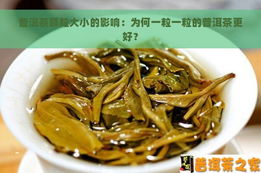 普洱茶颗粒大小的影响：为何一粒一粒的普洱茶更好？