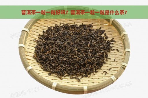 普洱茶一粒一粒好吗？普洱茶一粒一粒是什么茶？