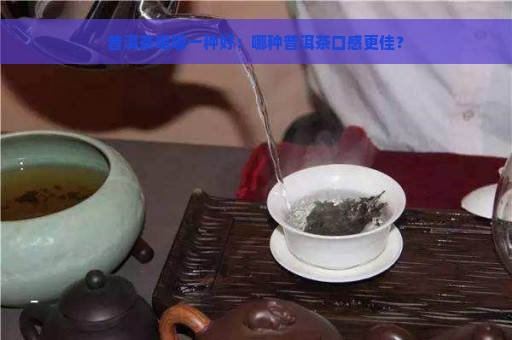 普洱茶喝哪一种好：哪种普洱茶口感更佳？