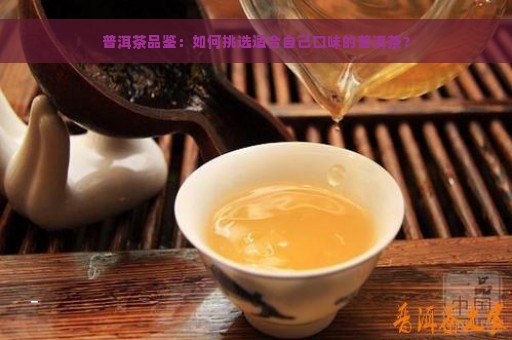 普洱茶品鉴：如何挑选适合自己口味的普洱茶？