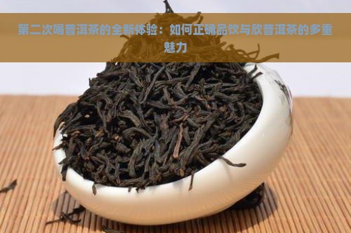 第二次喝普洱茶的全新体验：如何正确品饮与欣普洱茶的多重魅力