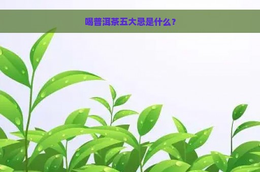 喝普洱茶五大忌是什么？