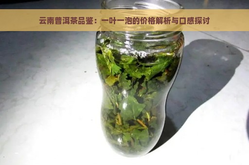 云南普洱茶品鉴：一叶一泡的价格解析与口感探讨