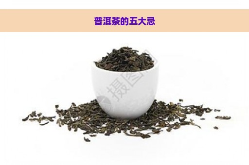 普洱茶的五大忌