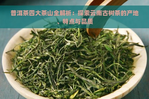 普洱茶四大茶山全解析：探索云南古树茶的产地、特点与品质