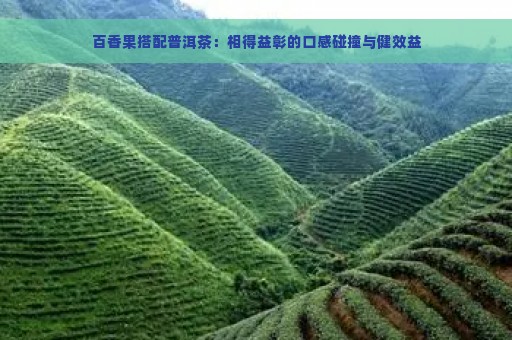 百香果搭配普洱茶：相得益彰的口感碰撞与健效益