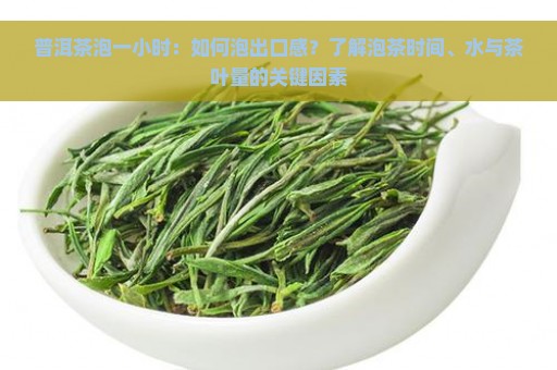 普洱茶泡一小时：如何泡出口感？了解泡茶时间、水与茶叶量的关键因素