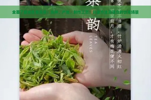 全面了解知名普洱茶：品种、产地、制作工艺、品鉴方法及适合的饮用场景