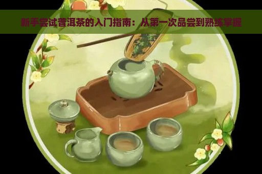 新手尝试普洱茶的入门指南：从第一次品尝到熟练掌握