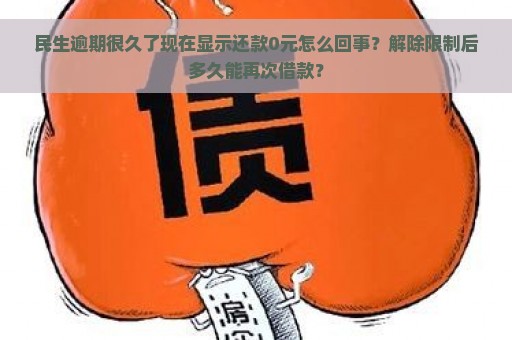 民生逾期很久了现在显示还款0元怎么回事？解除限制后多久能再次借款？