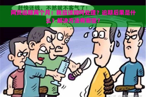 网贷逾期两个月：我应该如何处理？逾期后果是什么？解决方法有哪些？