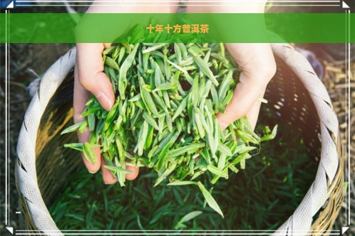 十年十方普洱茶