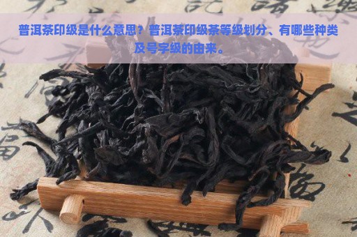 普洱茶印级是什么意思？普洱茶印级茶等级划分、有哪些种类及号字级的由来。