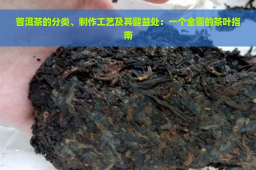 普洱茶的分类、制作工艺及其健益处：一个全面的茶叶指南