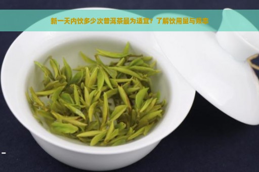 新一天内饮多少次普洱茶最为适宜？了解饮用量与频率