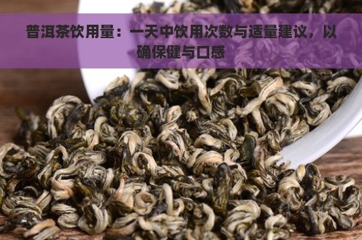 普洱茶饮用量：一天中饮用次数与适量建议，以确保健与口感