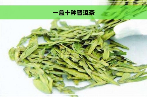 一盒十种普洱茶