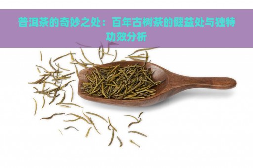 普洱茶的奇妙之处：百年古树茶的健益处与独特功效分析