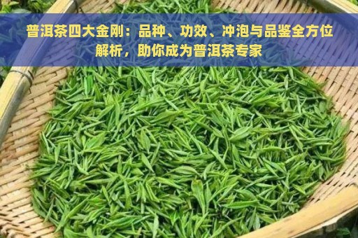 普洱茶四大金刚：品种、功效、冲泡与品鉴全方位解析，助你成为普洱茶专家