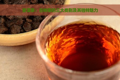 普洱茶：古树茶的三大类别及其独特魅力