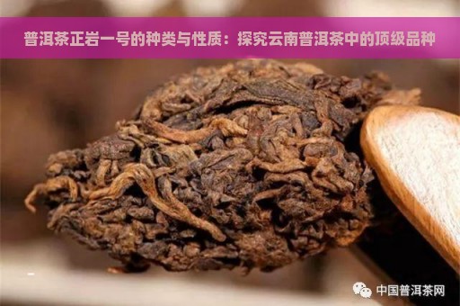 普洱茶正岩一号的种类与性质：探究云南普洱茶中的顶级品种