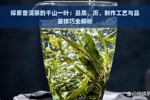 探索普洱茶的千山一叶：品质、历、制作工艺与品鉴技巧全解析