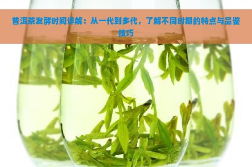 普洱茶发酵时间详解：从一代到多代，了解不同时期的特点与品鉴技巧