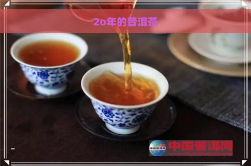 2o年的普洱茶