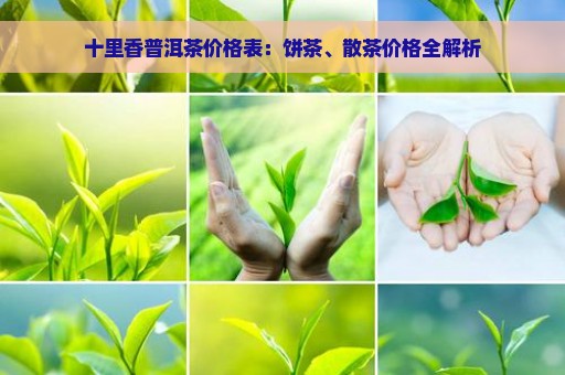 十里香普洱茶价格表：饼茶、散茶价格全解析