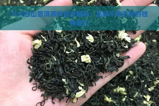 八大名山普洱茶特点全解析：品味千年古树的独特魅力