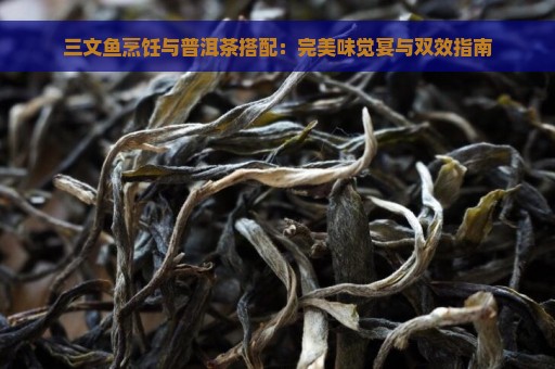 三文鱼烹饪与普洱茶搭配：完美味觉宴与双效指南