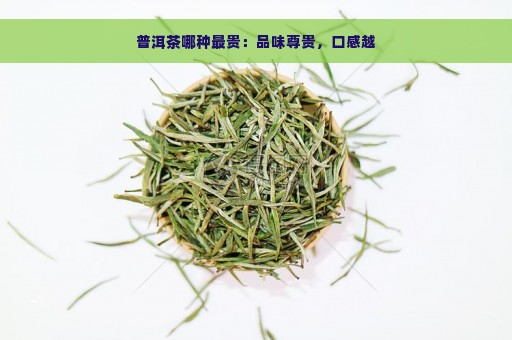 普洱茶哪种最贵：品味尊贵，口感越