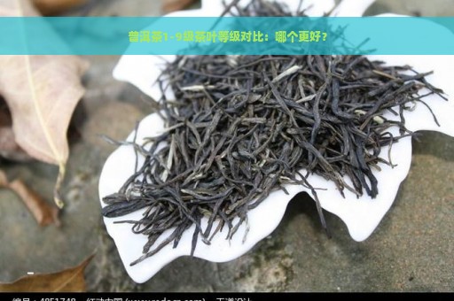 普洱茶1-9级茶叶等级对比：哪个更好？