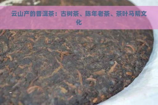 云山产的普洱茶：古树茶、陈年老茶、茶叶马帮文化