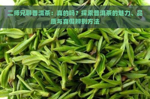 二师兄聊普洱茶：真的吗？探索普洱茶的魅力、品质与真假辨别方法