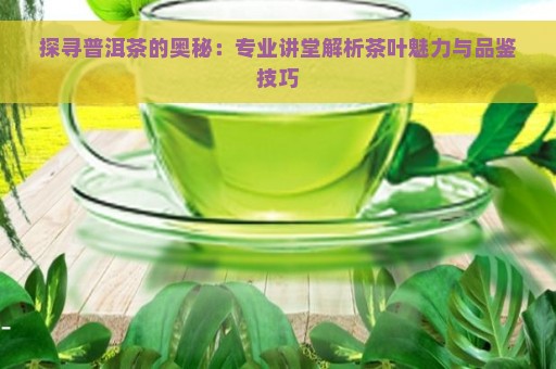 探寻普洱茶的奥秘：专业讲堂解析茶叶魅力与品鉴技巧